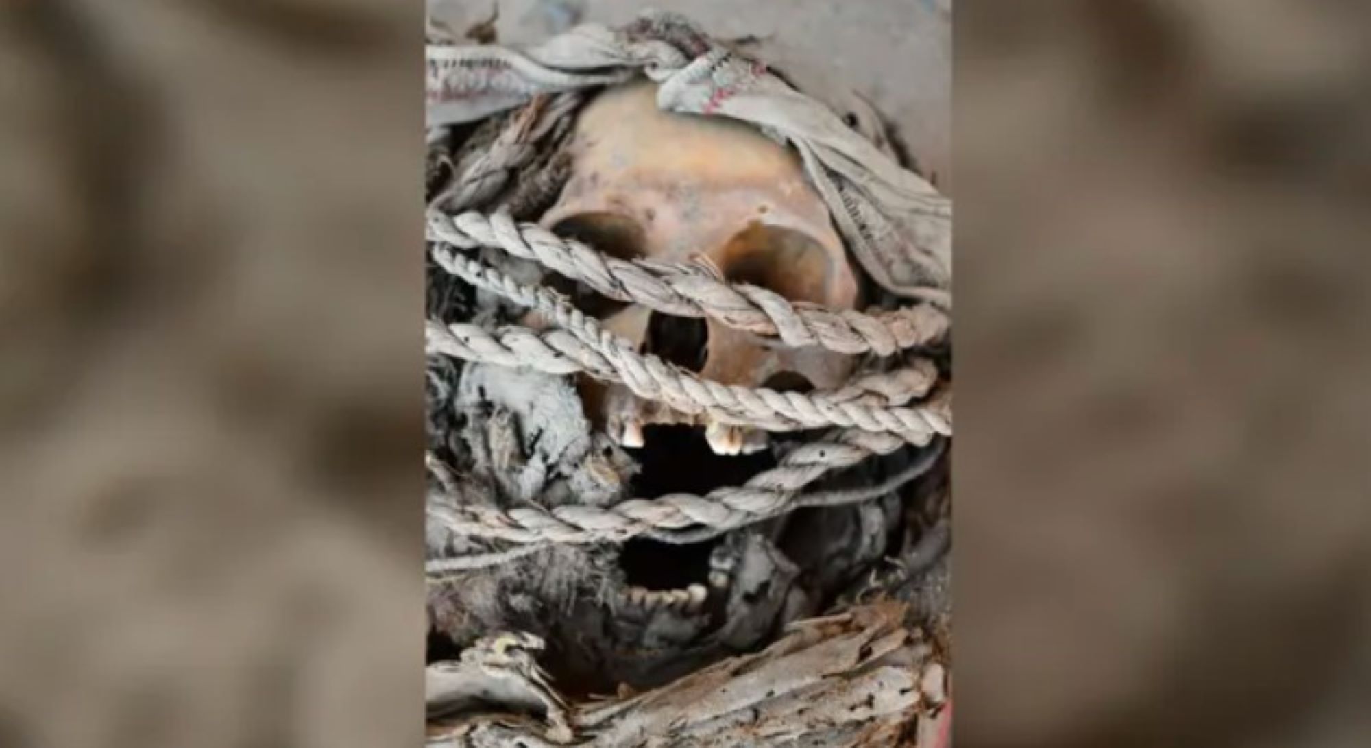 esqueletos-com-marcas-de-batalha-desvendam-historia-de-povo-misterioso 