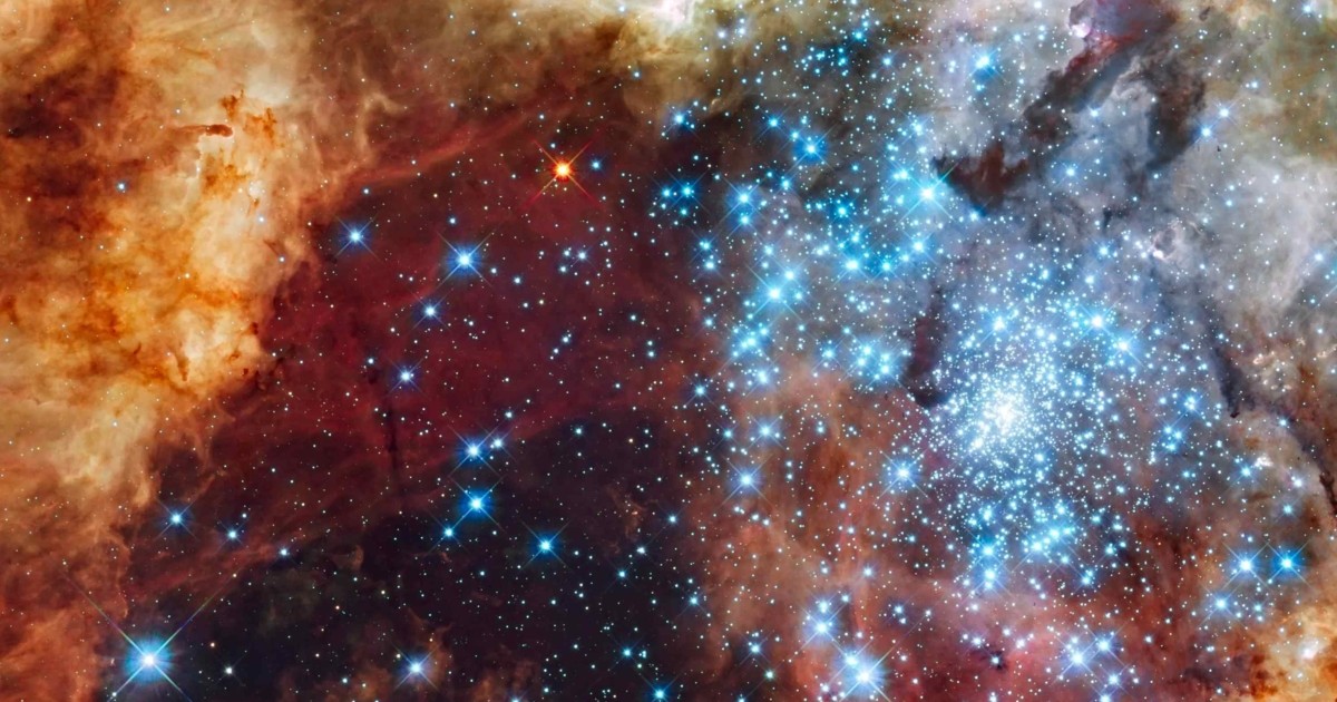 horoscopo:-saiba-o-que-esperar-para-o-seu-signo-nesta-quinta-feira,-dia-24