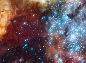 horoscopo:-saiba-o-que-esperar-para-o-seu-signo-nesta-quinta-feira,-dia-24