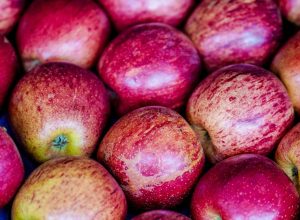 exportacao-de-frutas-cresceu-26%-no-primeiro-trimestre-de-2025